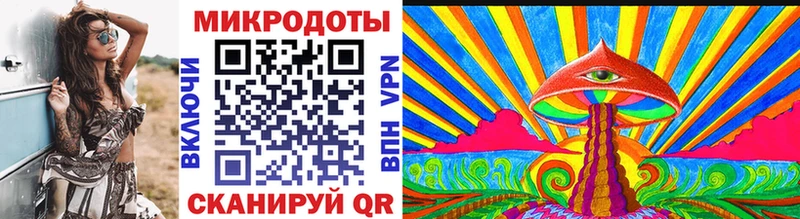 Псилоцибиновые грибы Cubensis Борзя