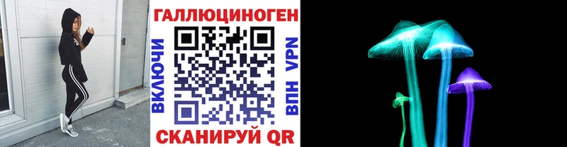 Псилоцибиновые грибы GOLDEN TEACHER  Купить где  Борзя 